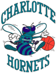 Charlotte Hornets, Basketball team, function toUpperCase() { [native code] }, logo 20090403